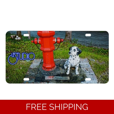 Le Studio License Plates Rush Signals Statue TOS